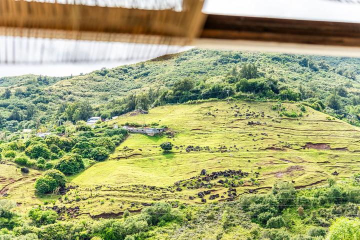 La terrasse et la vue, photo 7