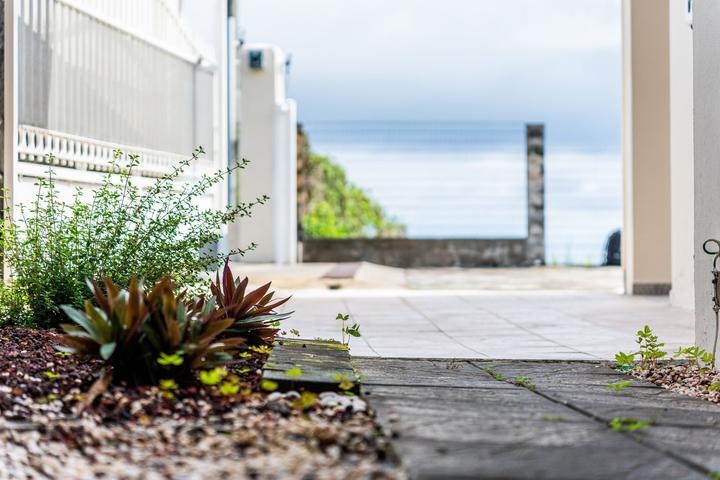 Le jardin et la cour, photo 8